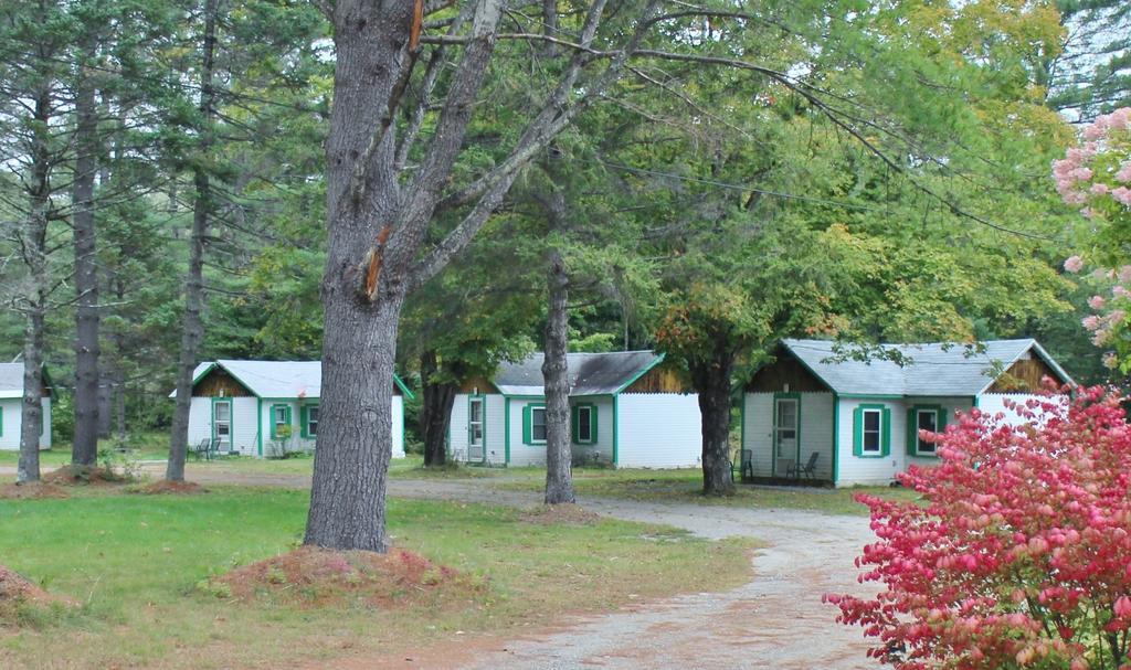 Pine Valley Cabins Thornton Quarto foto