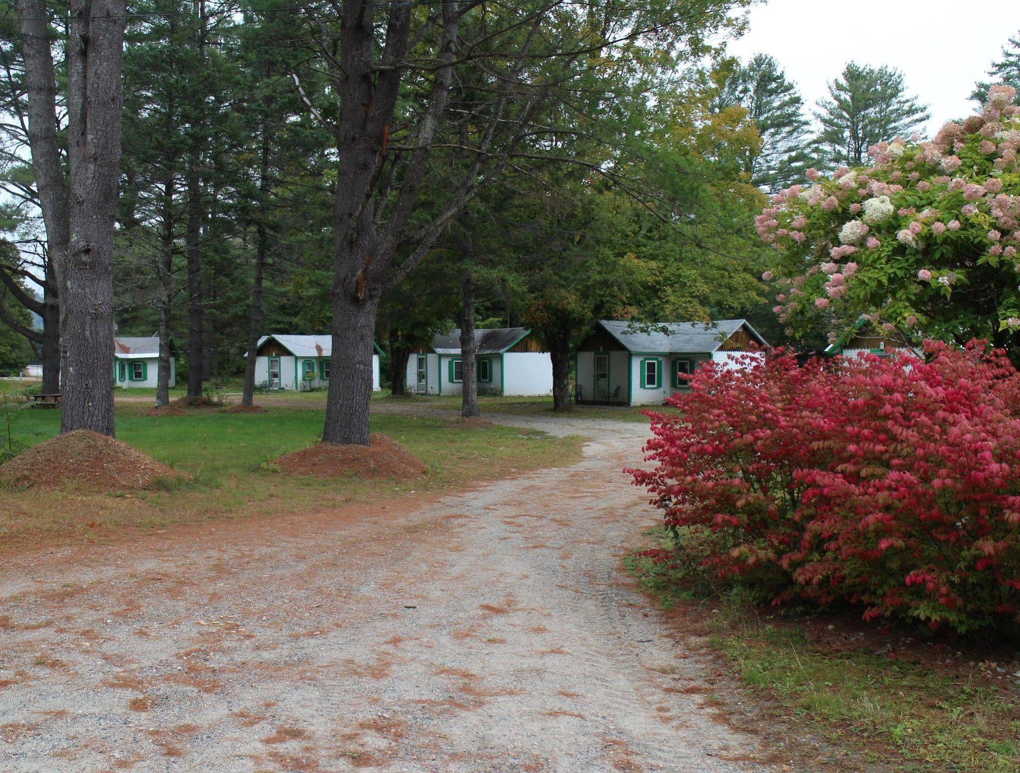 Pine Valley Cabins Thornton Exterior foto